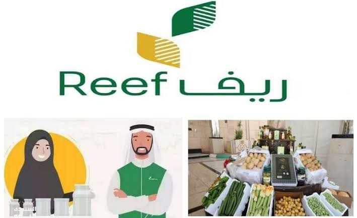 موعد نزول دعم ريف "Reef" لشهر أبريل 2024 وشروط استحقاق الدعم وأنواعه 2 موعد نزول دعم ريف
