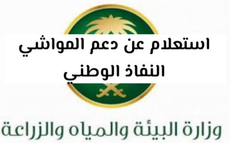 images 2024 04 04T083413.297