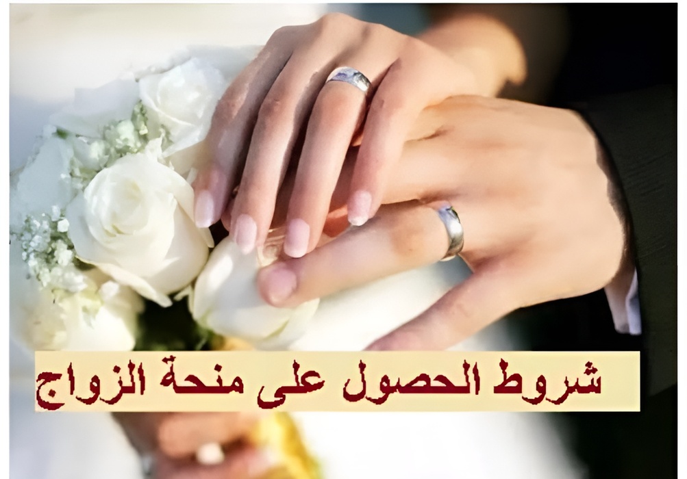 images 2024 04 20T141249.546 out