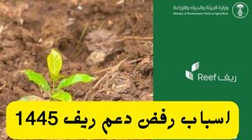 أسباب رفض طلب دعم ريف