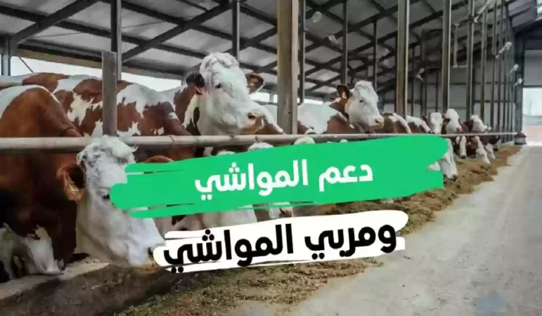 أهلية مربي الماشية