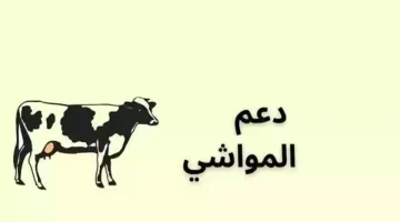 استحقاق دعم المواشي