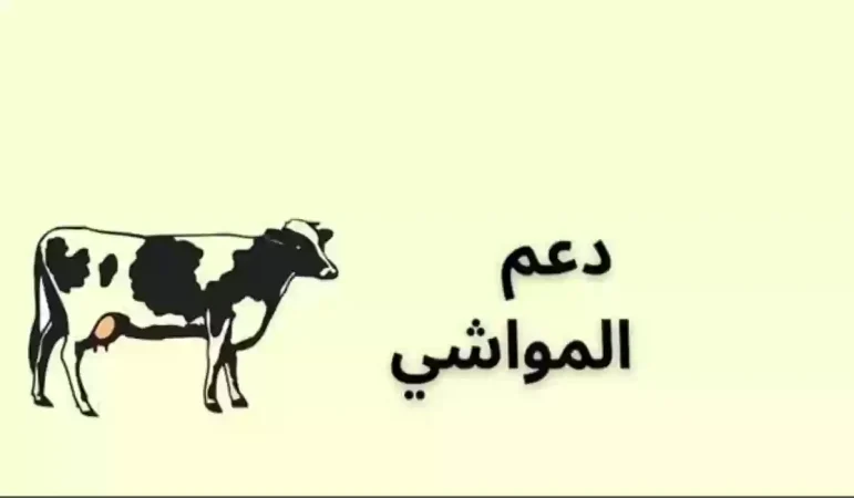 شروط استحقاق دعم المواشي والوثائق المطلوبة للتقديم 1445 1 استحقاق دعم المواشي