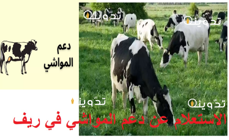 الاستعلام عن دعم المواشي في ريف 1445