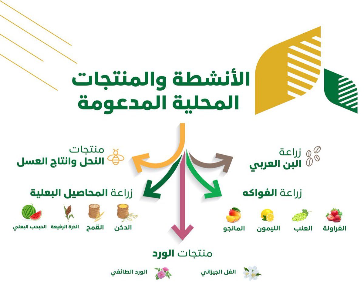 ما هي شروط الدعم الريفي للنساء reef.gov.sa وهل يجوز التقديم للمتقاعدين 2 شروط الدعم الريفي للنساء