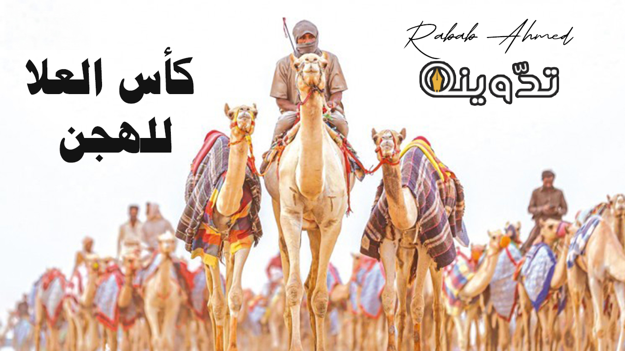 انطلاق كأس العُلا للهجن