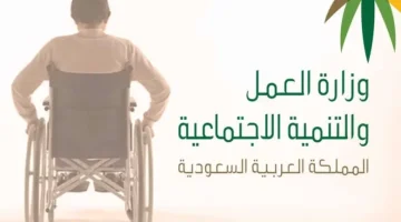 برنامج التأهيل الشامل 1