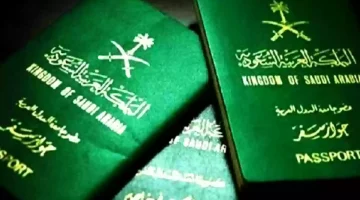 تصريح السفر