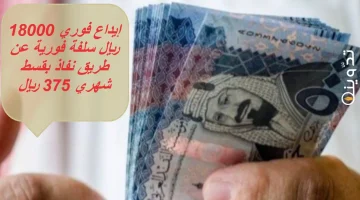 تمويل الاسرة 1 1