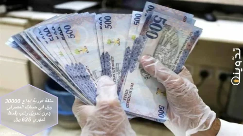 تمويل الاسرة