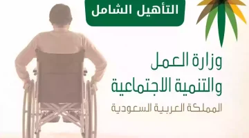 دعم التأهيل الشامل
