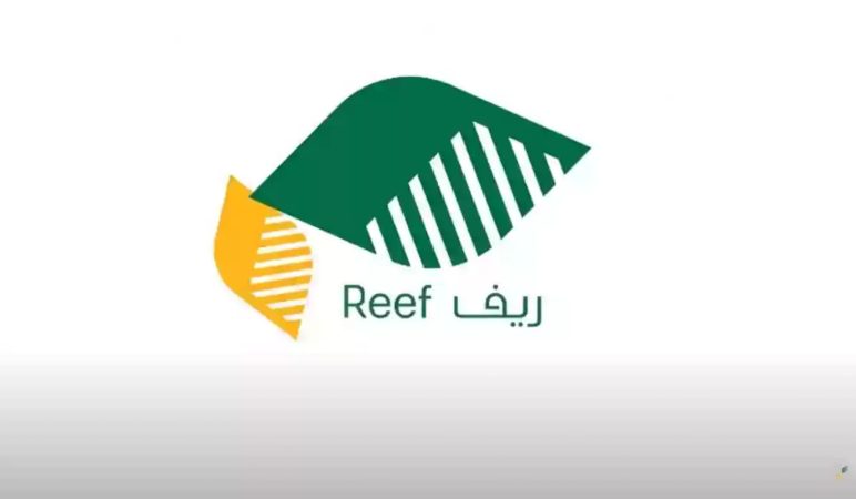 خطوات ورابط التسجيل في دعم ريف بالسعودية وأهم الشروط والفئات المستحقة 1 دعم ريف