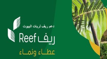 دعم ريف للنساء بالمملكة