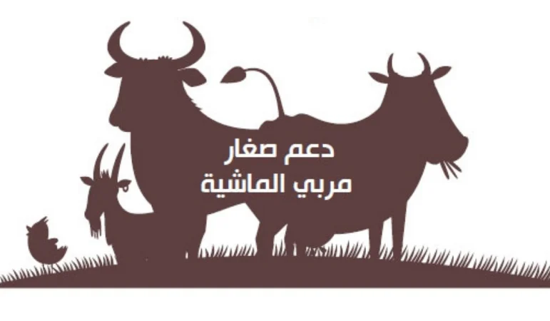 وزارة الزراعة تُجيب : متى إيداع دعم مربي الماشية لشهر إبريل 2024؟ طريقة التسجيل عبر منصة نما 1 دعم مربي المواشي