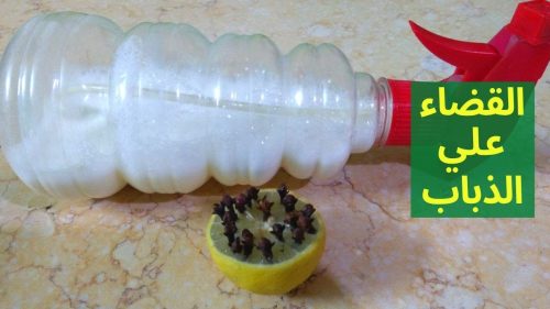 طرق التخلص من الذباب في المنزل