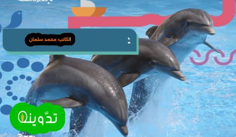 عروض الدلافين جدة