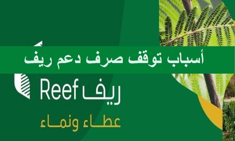 أسباب توقف صرف دعم ريف