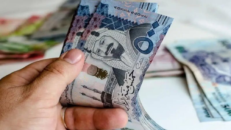 التأمينات توضح مواعيد صرف المعاشات و المستحقات التأمينية للمستفيدين 1 مواعيد صرف المعاشات و المستحقات التأمينية