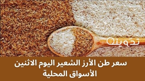 سعر طن الأرز الشعير اليوم الاثنين 16-12-2024 في الأسواق المحلية