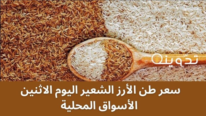 سعر طن الأرز الشعير اليوم الاثنين 16-12-2024 في الأسواق المحلية